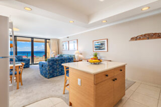 Kitchen Island and Partial Living Area