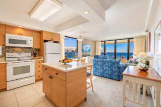 Kitchen Island and Partial Living Area