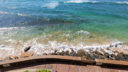 Looking down from lanai balcony