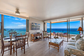 View from kitchen counter to dining/living area